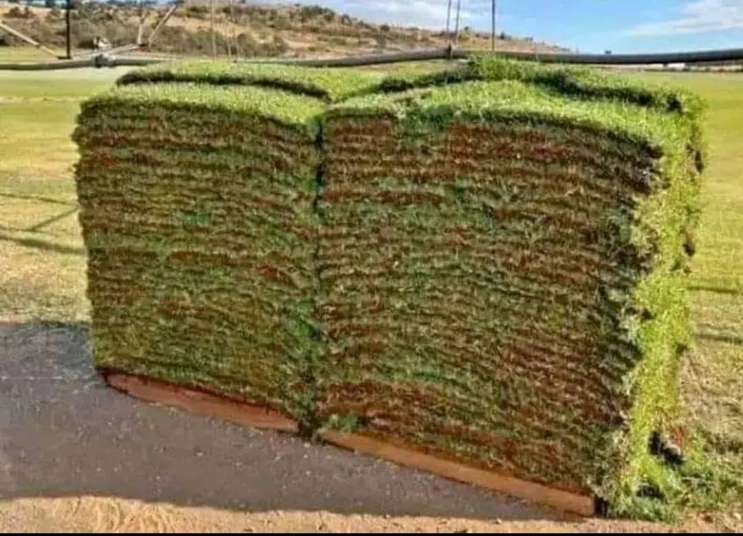 Stacked instant lawn rolls ready for laying