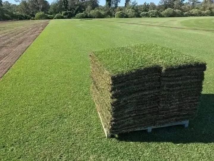 Pallet of instant lawn on a lawn