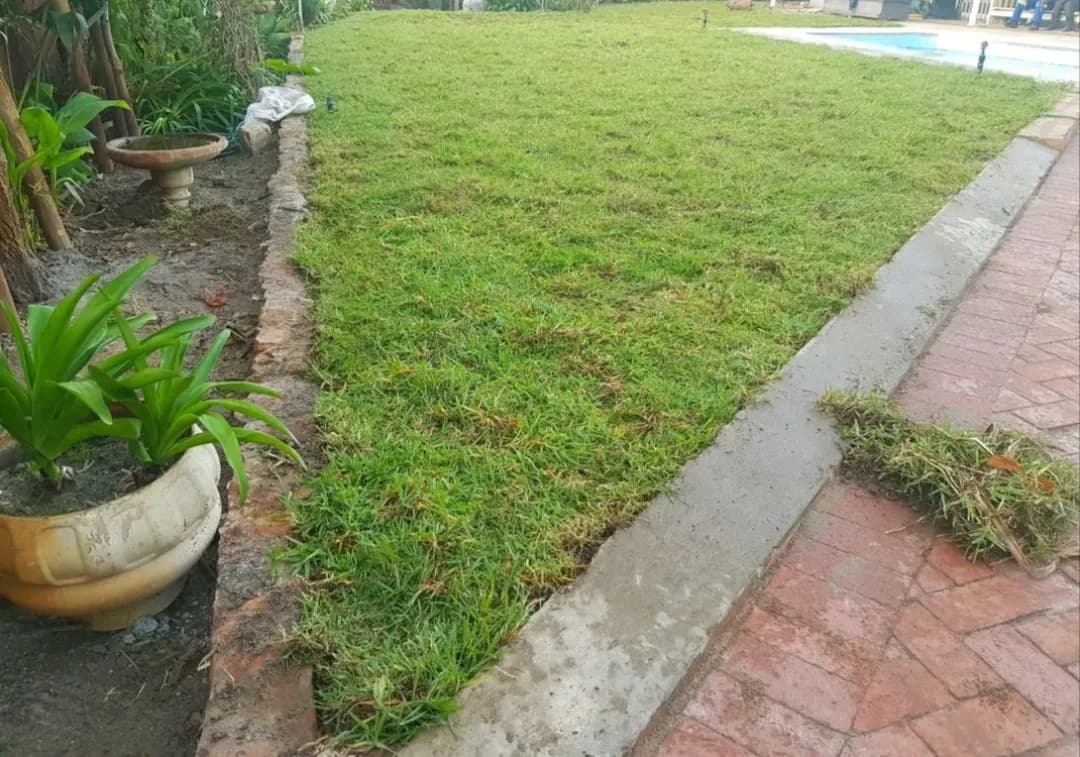 Instant lawn laid beside a brick-paved pool surround