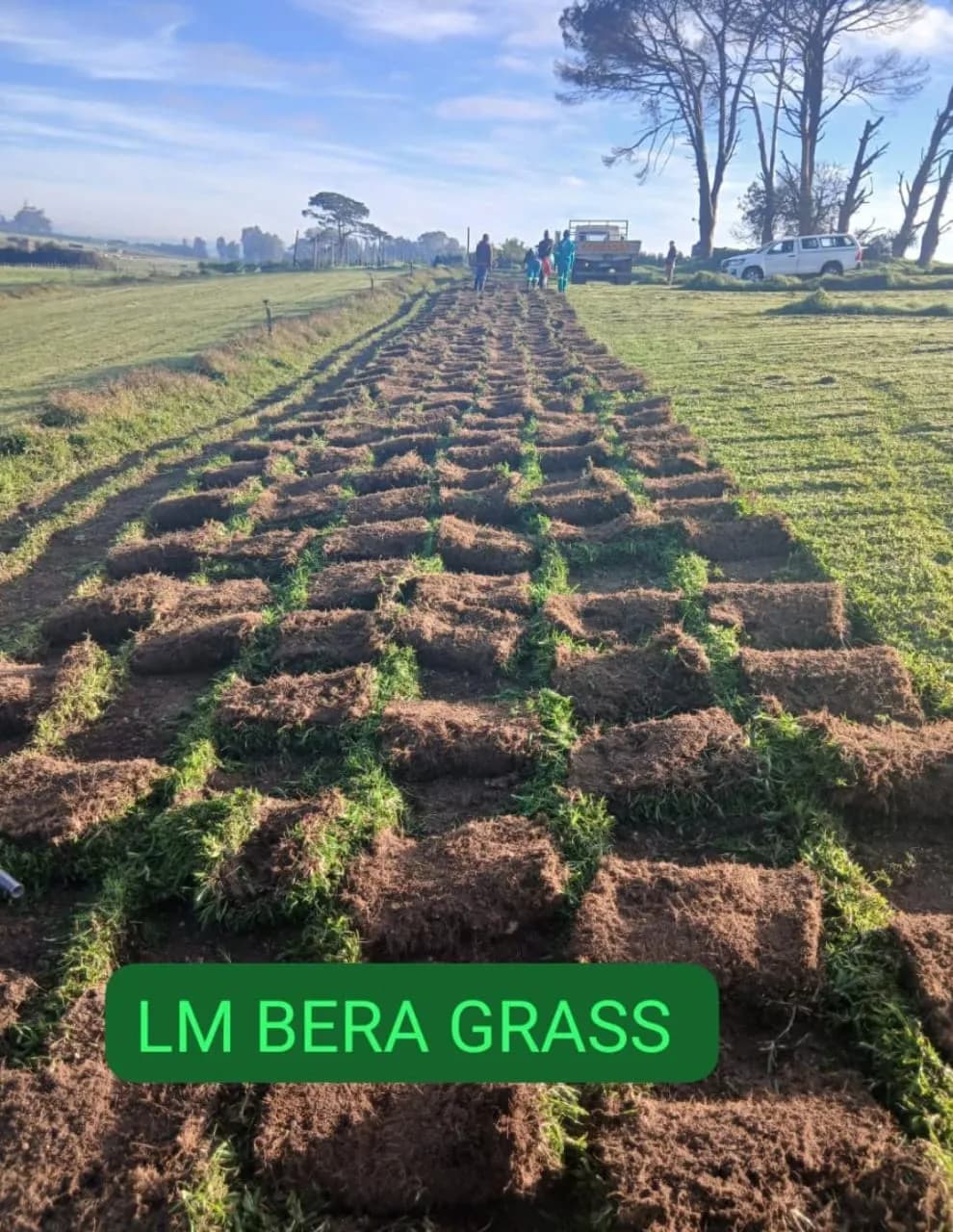 Lawn squares laid across a large prepared area